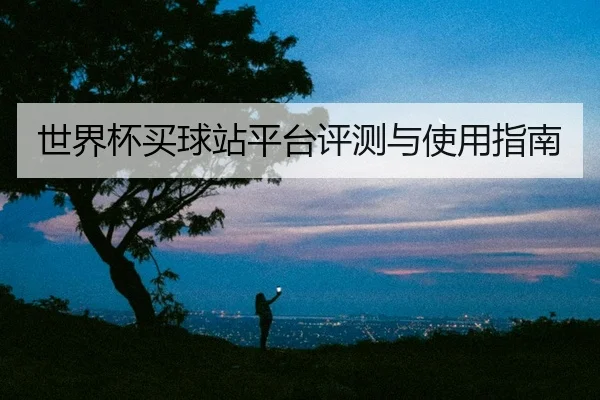 世界杯买球站平台评测与使用指南