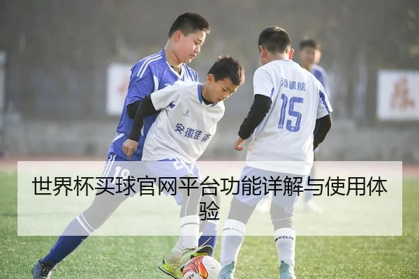 世界杯买球官网平台功能详解与使用体验