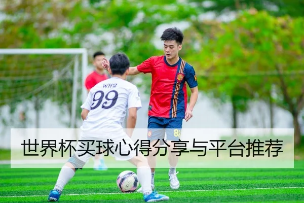 世界杯买球心得分享与平台推荐