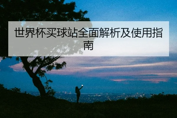 世界杯买球站全面解析及使用指南