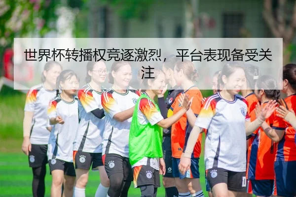 世界杯转播权竞逐激烈，平台表现备受关注