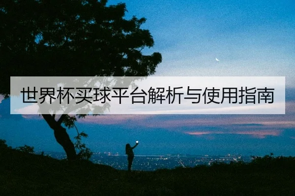 世界杯买球平台解析与使用指南