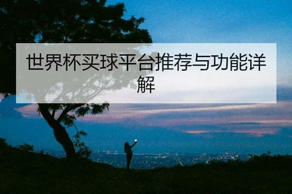 世界杯买球平台推荐与功能详解