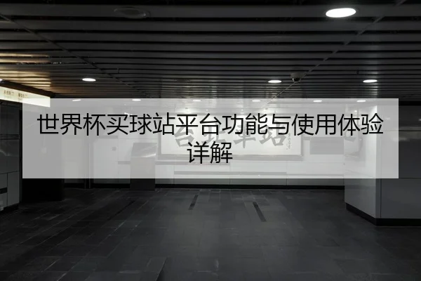 世界杯买球站平台功能与使用体验详解