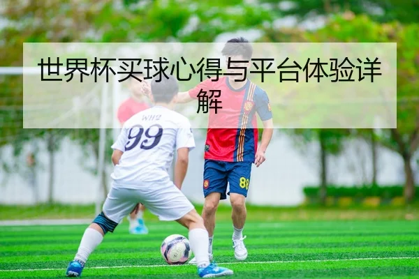 世界杯买球心得与平台体验详解