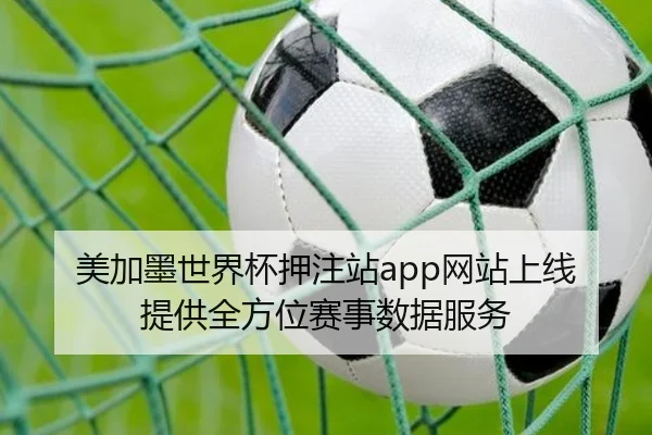 美加墨世界杯押注站app网站上线 提供全方位赛事数据服务