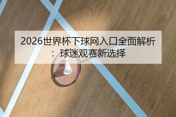 2026世界杯下球网入口全面解析：球迷观赛新选择
