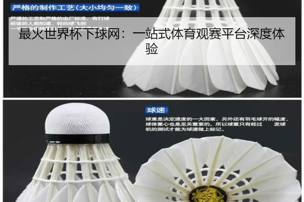 最火世界杯下球网：一站式体育观赛平台深度体验